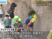 福岡市動物園のゾウ舎を幼稚園児が見学