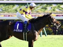 【海外競馬】プリンスオブウェールズステークスに日本馬が予備登録