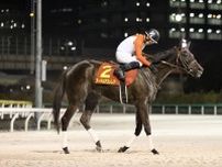 【川崎競馬】スパーキングレディーカップ出走予定馬…アーテルアストレアなど