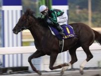 【高知・トレノ賞】ヘルシャフトが4馬身差で快勝…吉原「暑さに強い馬ではないと聞いていた」