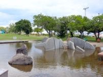 日陰もあり水辺も楽しめる！夏にピッタリな芝生広場　無料で利用可能！垂水の『平磯芝生広場』を紹介　神戸市