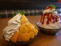 濃厚なシロップとたっぷりの果肉で幸せな気持ちに♡　『YAMATO cafe（ヤマトカフェ）』で「かき氷」の提供が始まりました　三田市