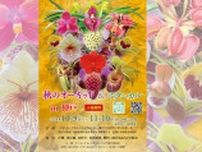 食虫植物や熱帯植物、洋蘭など様々な植物が集結　デザイン・クリエイティブセンター神戸で「オーキッド＆ボタニカルフェア」開催　神戸市