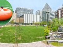 都会のオアシス誕生♪癒しの庭園や遊具もありました　リニューアルされた三宮の『磯上公園』に行ってきました　神戸市