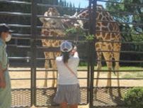 小学1年から4年生限定！キリンやカバに餌やり体験も　姫路市立動物園で「動物園ウォークラリー」開催　姫路市