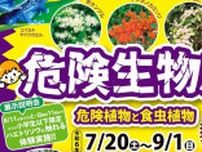 その数約100種類！小学生は「ハエトリソウ」に触れます　手柄山温室植物園で「危険生物展」開催　姫路市