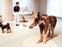 いきもの彫刻「はしもとみお展」、だるまさんの「かがくいひろし展」　神戸の2美術館で開幕