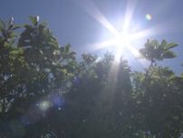 【速報】高松市で今年初の猛暑日に　最高気温35℃超え