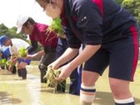 五島の高校生が田植え体験　「感謝しながら味わって食べれたら」【長崎】