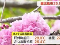 鹿児島県内　２５の観測地点で気温が２５℃超える　桜にかわり藤が見頃に　