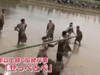 若者たちが泥だらけに　鹿児島県日置市の伝統行事「せっぺとべ」
