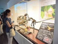 恐竜の脳から生態を解き明かす　御船町恐竜博物館で夏の特別展　9月29日まで　