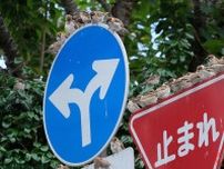 日本イチ美しい「標識」が世田谷区にあった？ まるで伝説の「三つ叉の矛」 どんなモノなのか