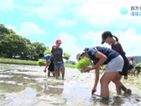「友達とやって楽しかったけど、泥で最悪…」清流四万十川を１００年後まで残したい　小学生が環境に優しい米づくりを体験