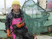 北海道・函館でスルメイカ初競り　需要回復に期待の声