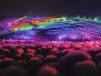 虹色のコキア3万本、夜きらめく　ひたち海浜公園でライトアップ