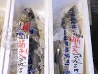 秋サケ、全国で記録的不漁　北海道3割、東北8〜9割減