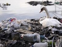 「三つの環境危機」に相乗対策を　日本、国連の会議で決議案提示