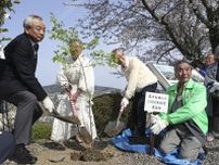 埼玉から「千本桜」達成　気仙沼、市民団体が植樹