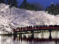 青森・弘前公園の桜が見頃　「花筏」は20日ごろから