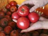 特産トマトと古来種八升豆の幸運な出会い　ゼリーで現代の課題解決、高知県日高村