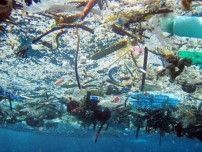 プラスチック汚染防止へ各国協議　年内の条約案合意目指す
