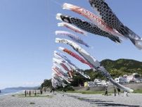 こいのぼり250匹元気に、三重　新団体が催し継承、熊野の海岸