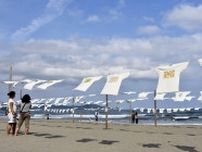 砂浜にTシャツずらり　高知県黒潮町のアート展