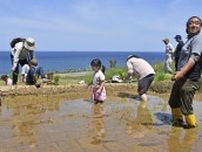 被災した輪島の千枚田で田植え　能登地震、一部区画修復完了