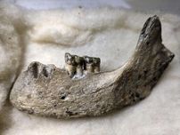 「夜見ケ浜人」の人骨再発見　鳥取で55年前出土、年代測定へ