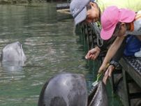 クジラも歯磨き、健康週間をPR　和歌山・太地の博物館
