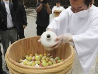 熊野本宮大社で梅漬け儀式　カメムシ発生で不作に、和歌山