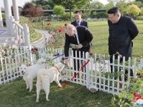 プーチン大統領に豊山犬贈る　金総書記、北朝鮮の天然記念物