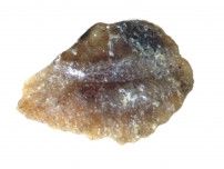 魚類の「耳石」化石、千葉で発見　白亜紀前期の地層で大量に