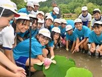 福島・白水阿弥陀堂のハス再生へ　地元児童が育てた苗を植える