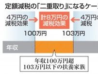 定額減税の「二重取り」可能　財務相が公表、不公平指摘も