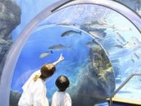 「のとじま水族館」が再開、石川　能登半島地震で被災、歓声戻る