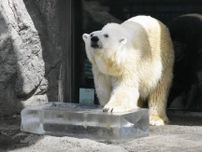 動物たちに氷のプレゼント　北海道・旭川の旭山動物園