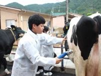 畜産を学ぶ高校生が大学生に牛の乳搾りを指導　「けられることもあるので横から手を」