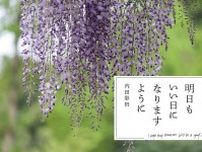 【内田彩仍さん連載：明日もいい日になりますように】 「第16回 始まりの季節を花とともに」
