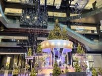 毎年恒例！「グランフロント大阪」で約１２ｍの巨大ツリーが輝き出す、開業１０年目のクリスマス