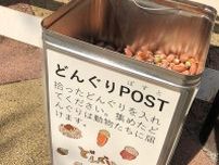 「ほっこりする」「素敵な取り組み」と話題　親子の悩みを解決する、京都市動物園の「どんぐりポスト」