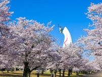 大阪・万博記念公園で桜ＥＸＰＯ、フードコートに８０店舗が集結