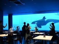 神戸の新水族館に「シャチが泳ぐ」レストラン、超人気の予感…予約は取れるのか？