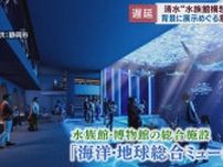 清水「水族館構想」に10カ月の遅れ　背景に展示めぐる意見対立も　静岡市