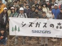 富士の麓に5000本のヒノキ植樹「シズガスの森」しずおか未来の森サポーター制度