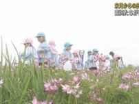 園児がレンゲの花摘みを楽しむ「ふじのくに美農里(みのり)プロジェクト」　静岡・富士市