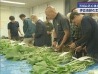わさびの品種検討会　伊豆半島南部に適した品種を求めて　静岡・下田市