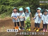 幼稚園児が地元特産のだいだいの苗木を植える体験「10年後に縁起がいい実を収穫して高校受験のお守りに」静岡・熱海市
