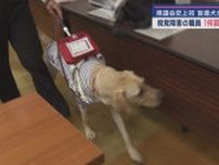 視覚障害のある静岡県の職員とともに盲導犬が県議会の委員会に出席　審議中足元で静かに待機